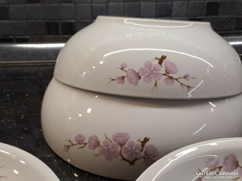 Retro lowland peach blossom porcelain tableware to replace a soup bowl and side dish plate