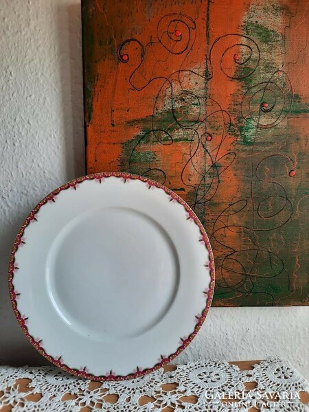 Mz austria / moritz&zdekauer porcelain plate / decorative plate. - Flawless