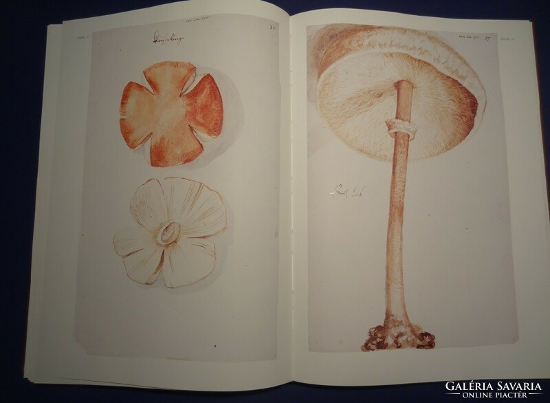 Clusius: Fungorum in Pannoniis ... 1983
