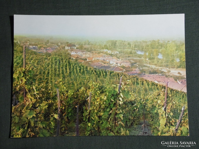 Képeslap,Postcard, Tokaj, látkép részlet, szőlőhegy, 1970-80