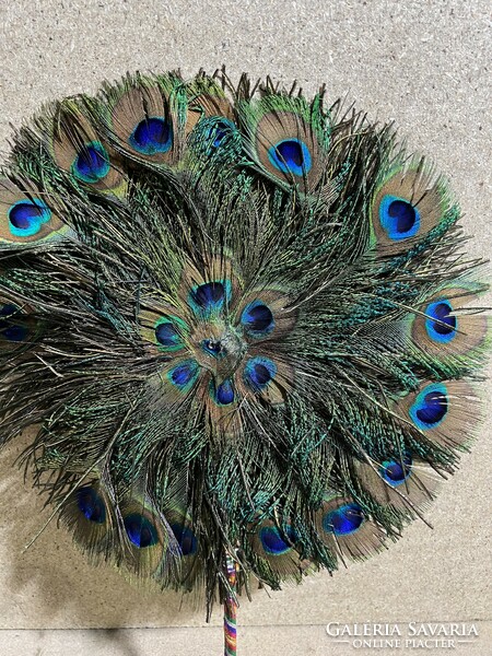 Peacock feather fan, Victorian period, diameter 27 cm. 4002