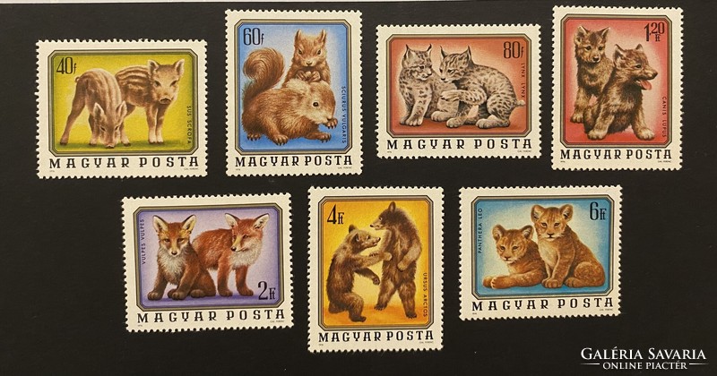 1976. Wild puppies ** postal clean line