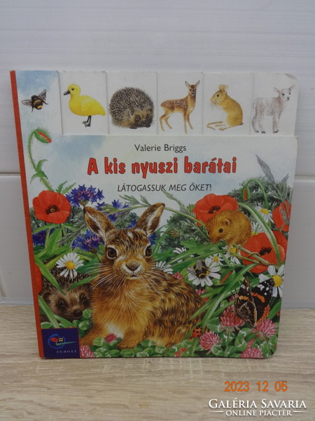 Valerie Briggs: her little bunny friends - let's visit them! - Hardcover storybook