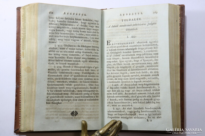 1796 - Magyar Mezei, és Házi Gazdaságnak Kalendárioma Gyönyörű dúsan aranyozott bőrkötésben !!