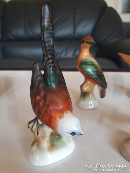 5 db porcelán madár együtt - gyűjteményből