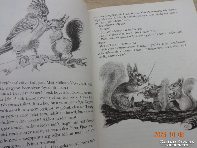 Józsi Józsi Tersánszky: Misi's Squirrel Adventures - old storybook with Róna Emy's drawings (1980)