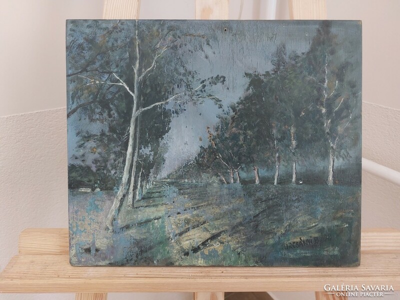 (K) Turcsányi b. Landscape painting 35x29 cm