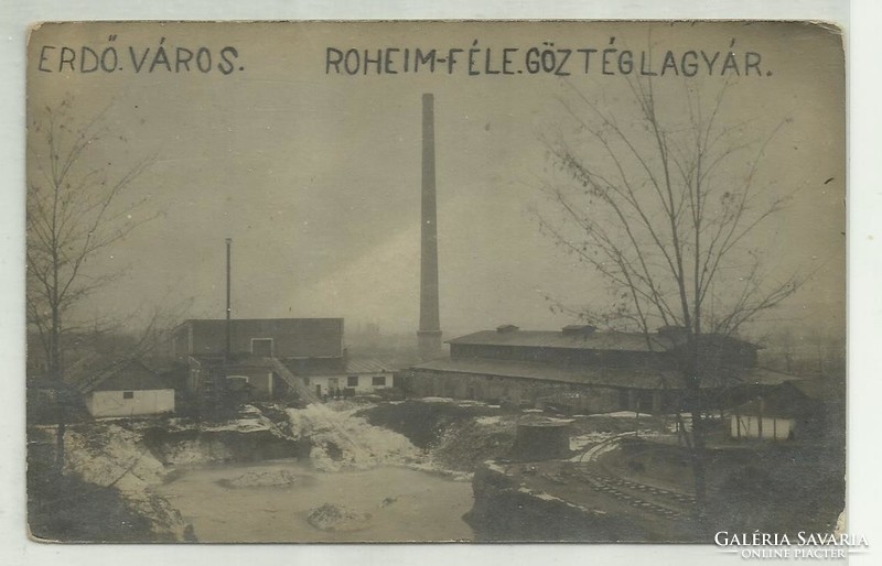 1923.- Erdőkertes, forest city; Roheim steam brick factory, - postcard