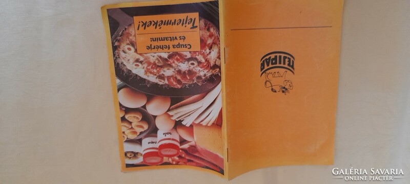 Recipe book dairy products dairy industry retro