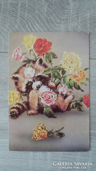 Mosómedvés (?) retro képeslap