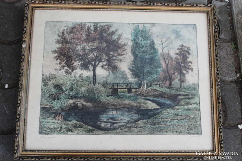 Ferenc Jánossy colored etching - 