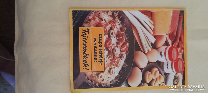Recipe book dairy products dairy industry retro
