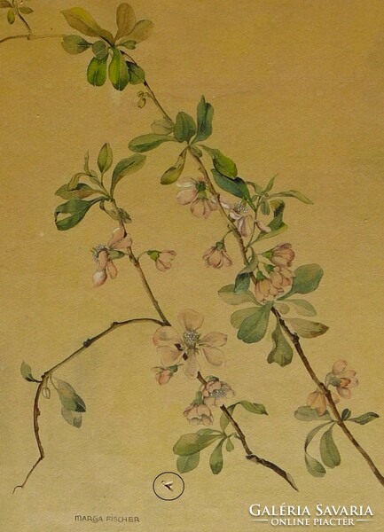 Igényes botanikai akvarell, 20'-as évek. Festmény, kép. Marga Fischer