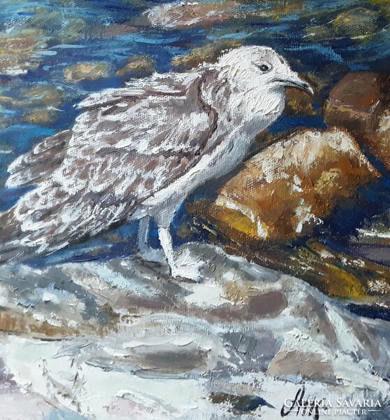 Antiipina galina: thinking seagull, oil painting, canvas, painter's knife. 40X50cm