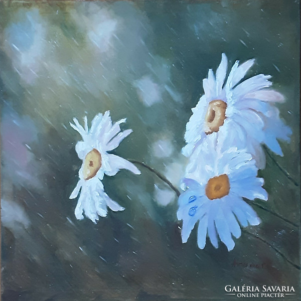 Antyipina Galina: Kamilla virágok esőben, olajfestmény, vászon, 50x50cm