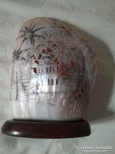 Beautiful old carved shell