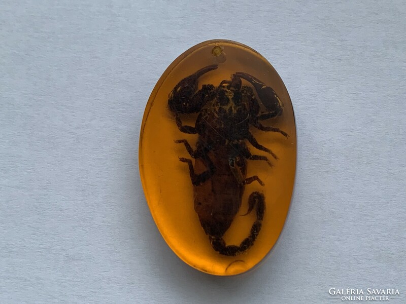 Régi valódi borostyán skorpió preparátummal, kulcstartó vagy medál