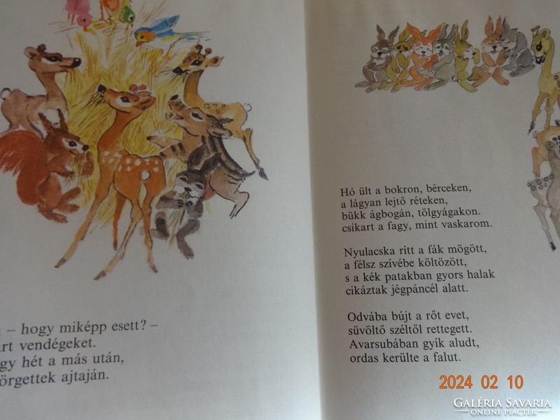 Anna Fazekas: old aunt's őzikeje - őzanyó - storybook with Róna Emy's drawings