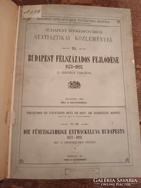 Budapest Székesfőváros Statisztikai Közleményei 53. - Budapest félszázados fejlődése 1873-1923 - 12