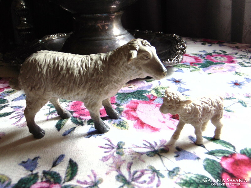 Old lamb + mini bari