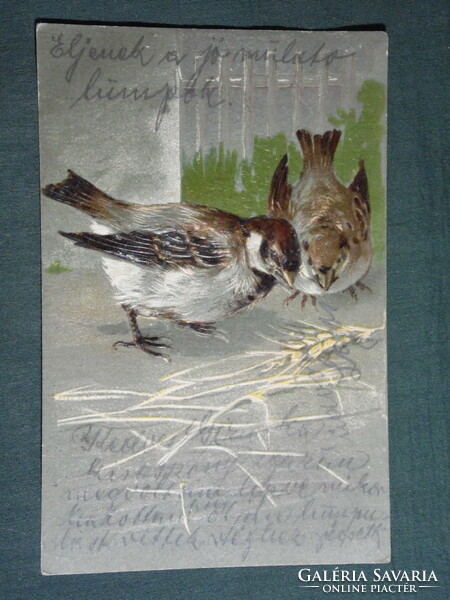 Képeslap,Postcard,artist,grafikai,rajzos,vögel,madár,veréb, dombornyomott, 1905