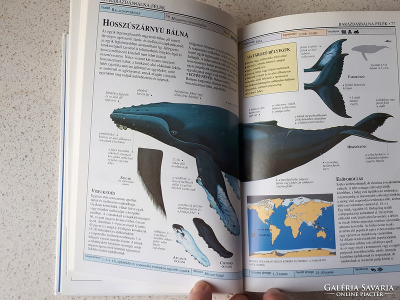 Bálnák és delfinek, Mark Carwardine , Határozó kézikönyvek