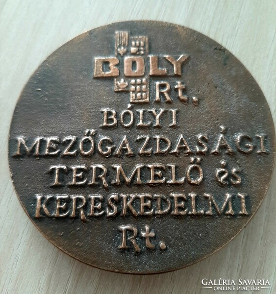 Boly bronze commemorative medal, plaque 8 cm in its own box. Sign F