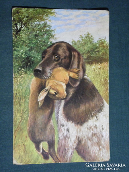 Képeslap, Postcard, artist,Jagdhund,hunting dog, vadászkutya, nyúl, vadászat ,vadász, 1912