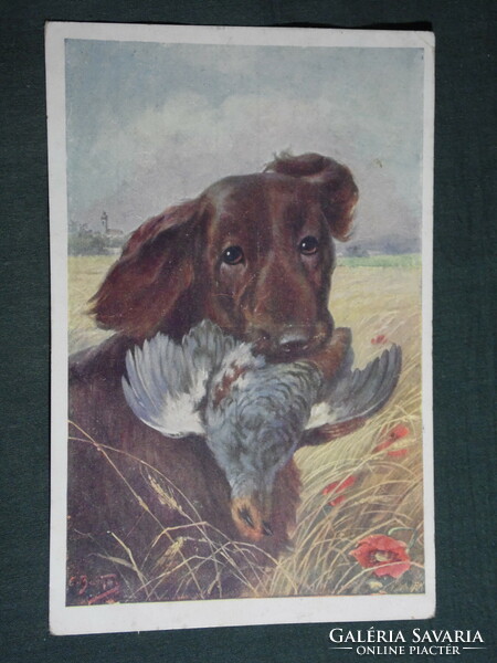 Képeslap, Postcard, artist,Jagdhund,hunting dog, Jäger, vadászat ,vadász, 1928