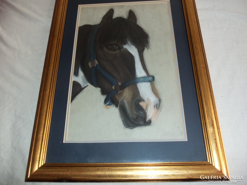 Signed portrait of beautiful horse !!