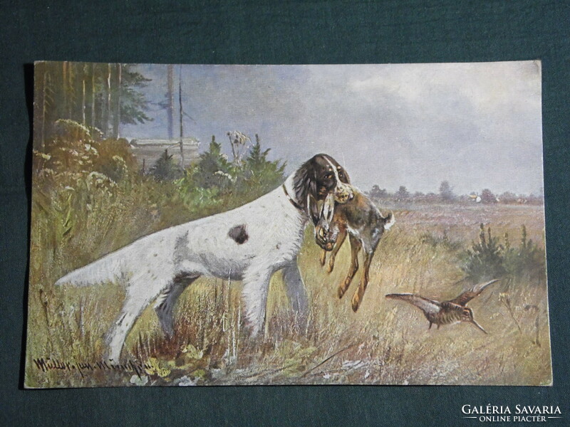 Képeslap, Postcard, artist,Jagdhund,hunting dog, vadászkutya, nyúl, vadászat ,vadász, 1910