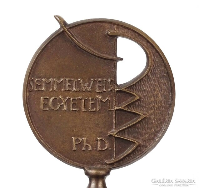 1Q831 istván paál: bronze plaque