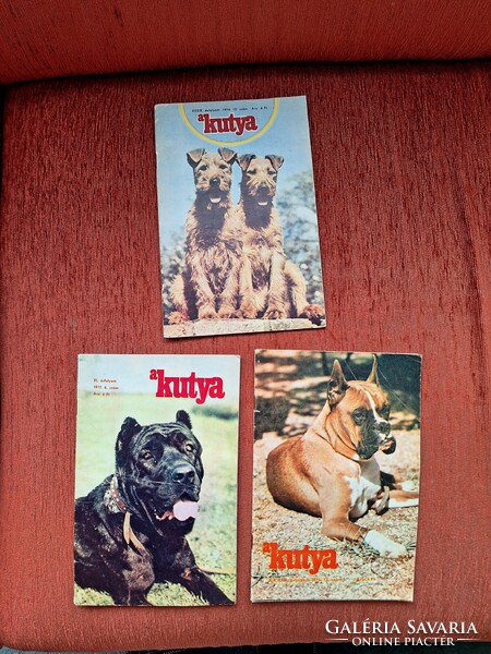 The dog 1976 magazines - 3 in one