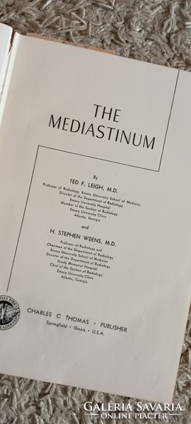 The Mediastinum.