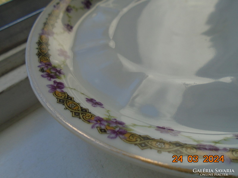 Gebrüder, art nouveau tea cup with violet garland and saucer