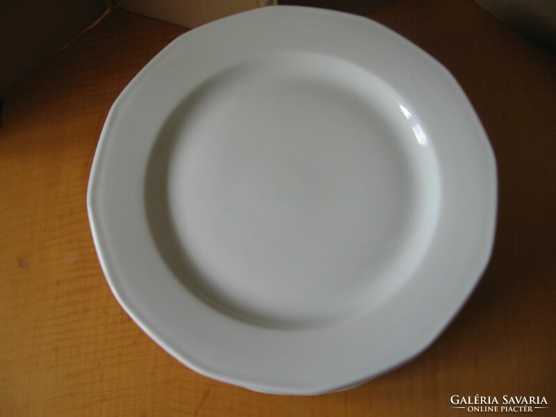 Hotel, restaurant quality holst porcelain germany mercury large flat plate