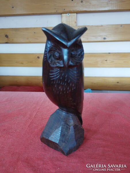 Ironwood owl