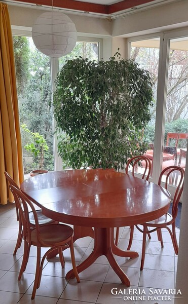 Tömör cseresznye étkezőasztal - 4 vagy 6 / 8 személyes, kerek, 5 db székkel