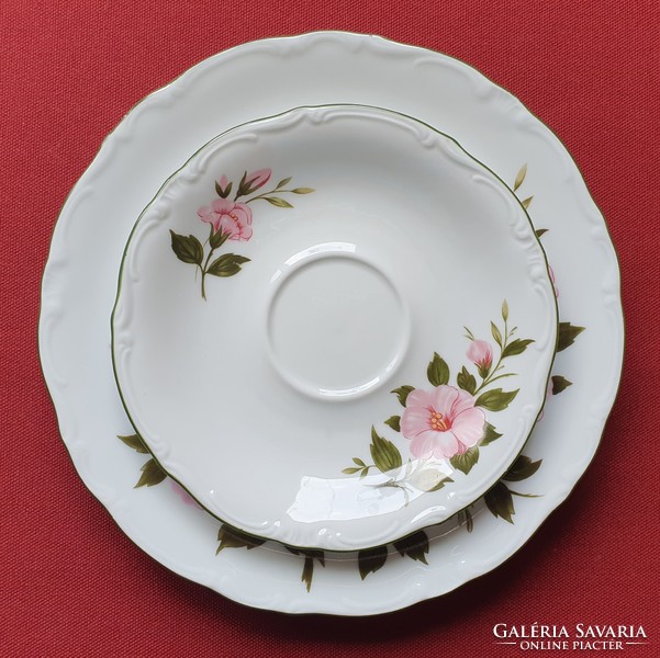 Winterling kirchenlamitz bavaria german porcelain breakfast plate pair saucer small plate hibiscus