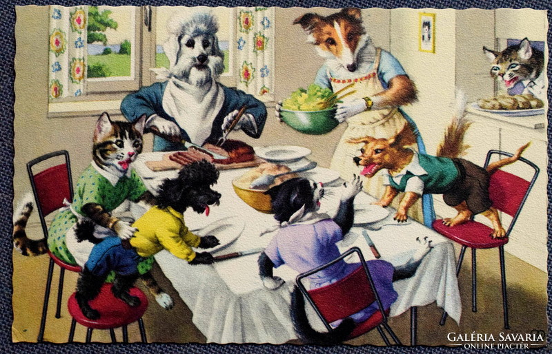 Régi retro humoros grafikus képeslap cica és kutya  család  közös ebéden
