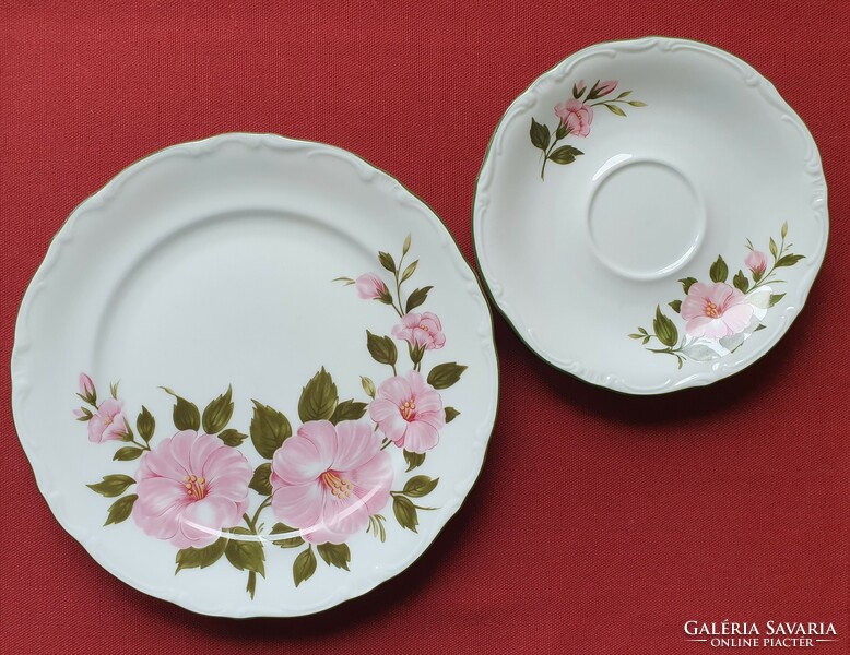 Winterling kirchenlamitz bavaria german porcelain breakfast plate pair saucer small plate hibiscus