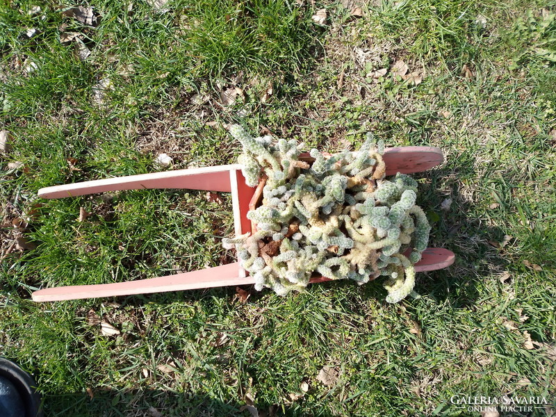 Creative yard planter, flower box, old toy wooden wheelbarrow (65 x 20 cm.)