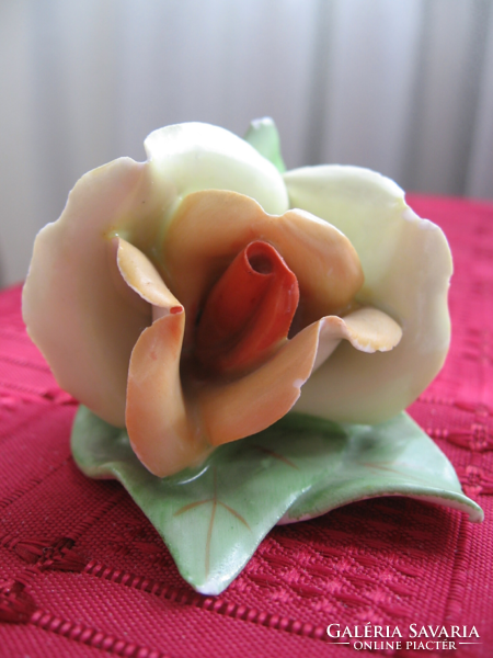 Vintage aquimcum porcelain rose hand painting