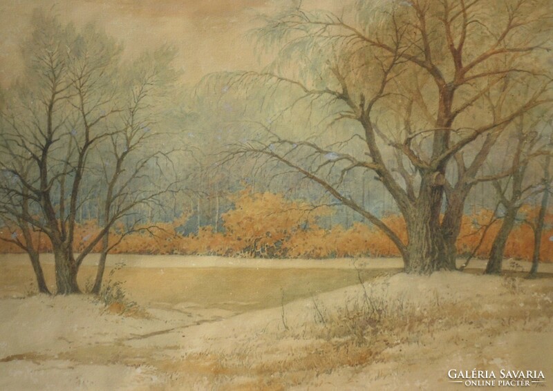 Gyökössy Lajos (1880-) : Folyóparti fák