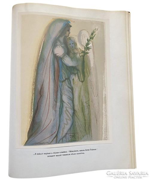 Dante's Divine Comedy with paintings by Salvador Dalí - velvet binding