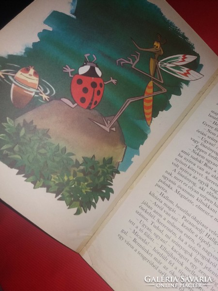 1985. Ágnes Bálint: what a spider the water spider is! A beautiful fairy tale book, according to the pictures