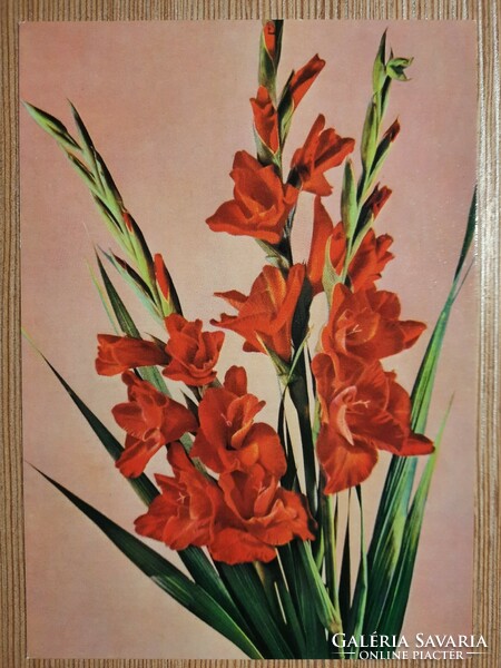Floral greeting card - retro postcard - postal clean