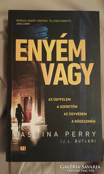 Tasmina perry you are mine. New book.