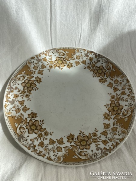 Czechoslovakian decorative plate