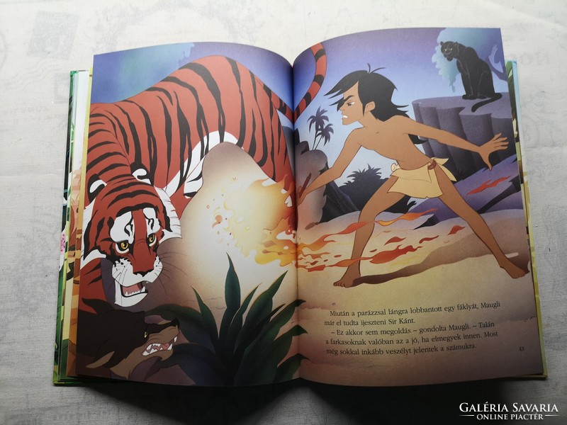 A. Van gool - world beautiful tales - the book of the jungle
